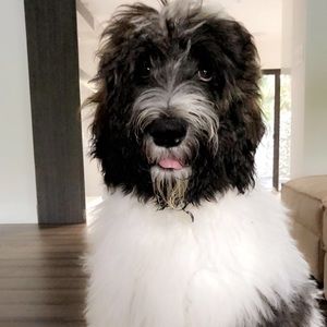 Meet your Posher, Elke